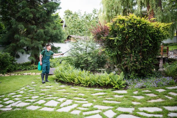 Best Best Pest Control Companies  in Glendale, MO
