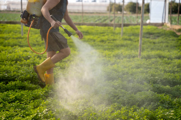 Best Commercial Pest Control Services  in Glendale, MO