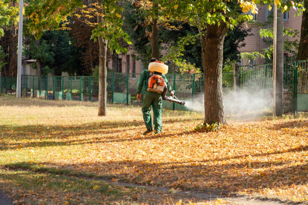 Best Mosquito Control Services  in Glendale, MO
