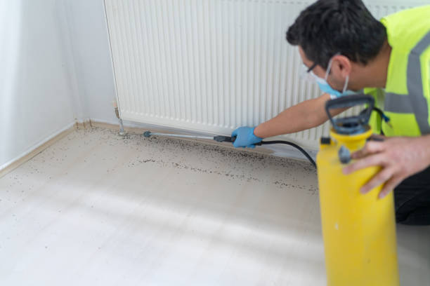 Best Best Pest Control Companies  in Glendale, MO