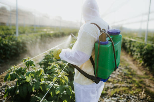 Best Residential Pest Control  in Glendale, MO